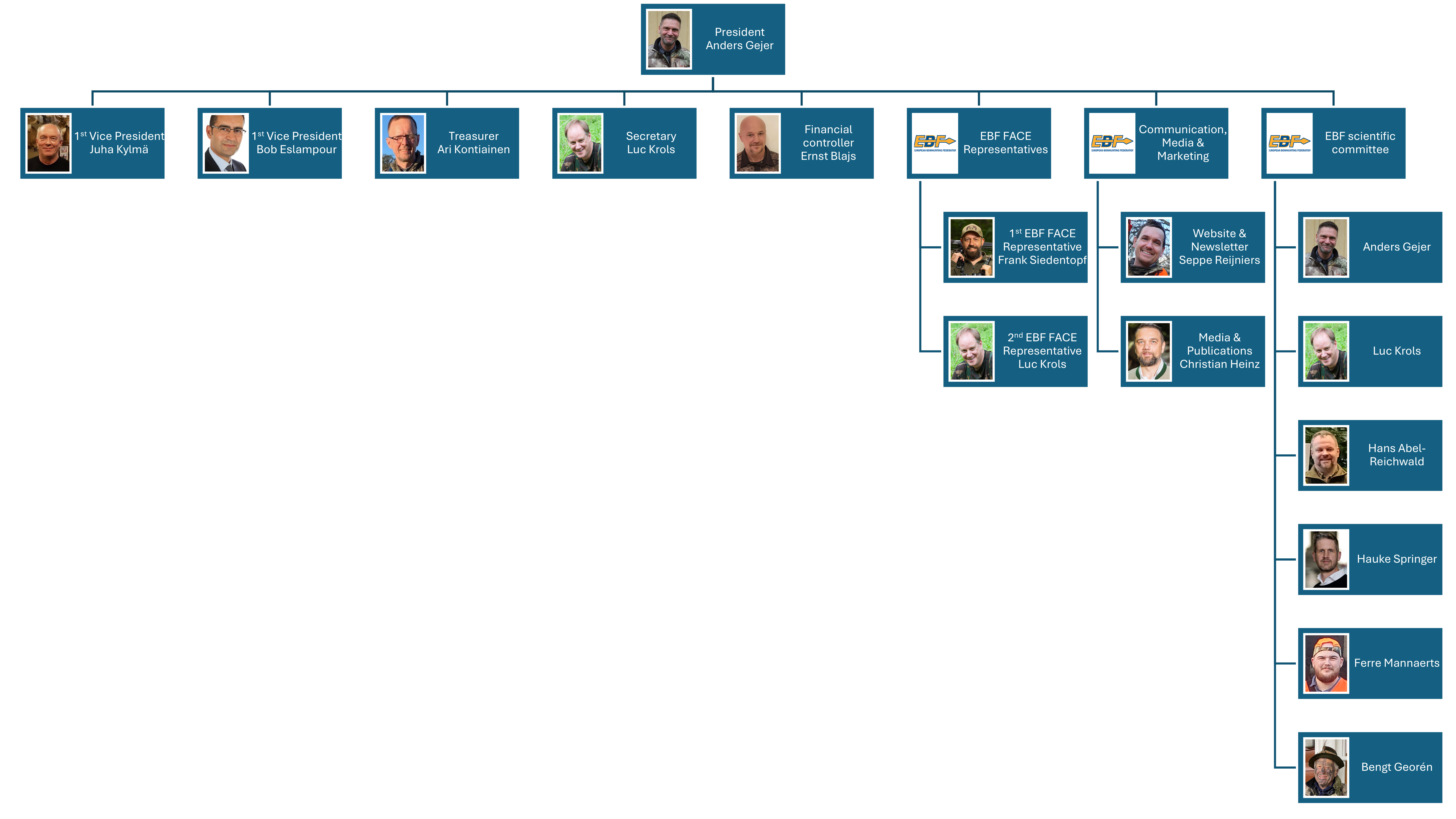 EBF Organogram